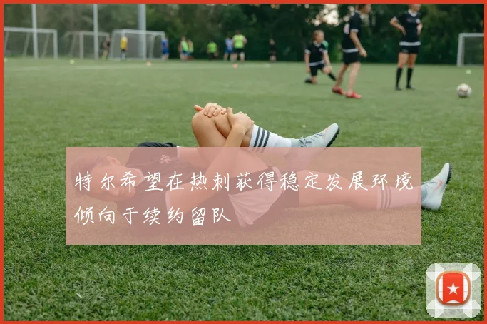 特尔希望在热刺获得稳定发展环境倾向于续约留队